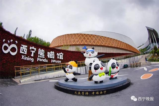 分钟心!今天西宁有这么多好玩s…