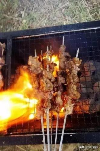 烧烤、爬山、赏花、浪公园!西宁周边最全面的浪山攻略!不容错过