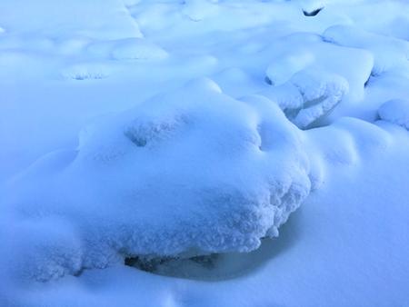 游记——冬雪飞扬，谁雕琼花玉树，谁牵手相约雪国。