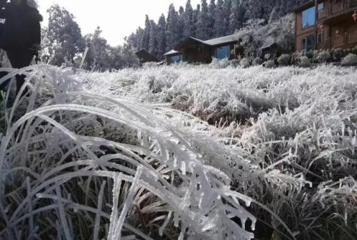 漂亮的屏幕!今年冬天宁德的第一次雾凇是在周宁咸丰山。没错。