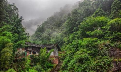 我“氧”你,跟我去黄荆老林吧。