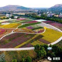 青海梦察尔汗摄影展,100场,每场2000元。