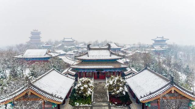 玉树凌空,花团锦簇!雪后的园博园,风景如画。