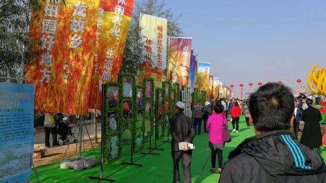 红谷:重阳登高采菊庆丰收。黄花宜伴茶，清月易攀。