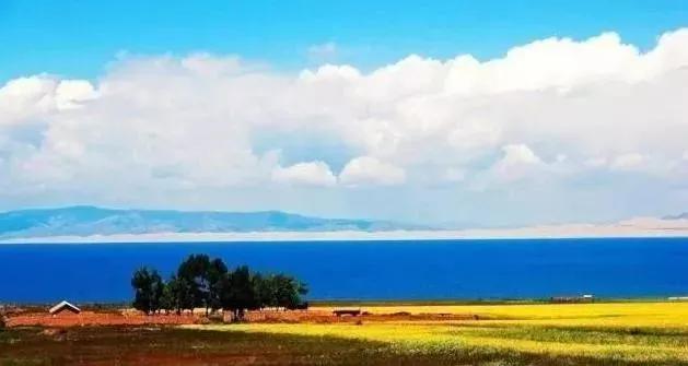 一篇老文章:青海湖游记