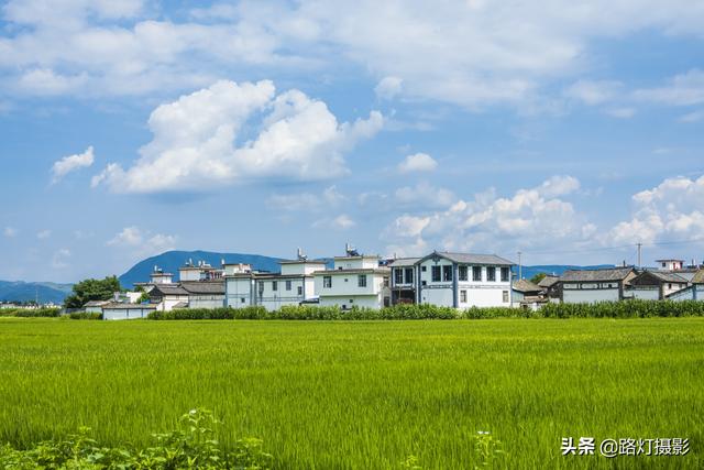 如果只能在三个中选一个，云南，青海，内蒙古，你最想去哪个地方？
