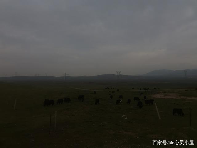 诗和远方在美丽青海——青海湖姊妹湖龙羊峡印象之路