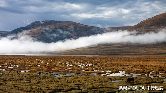玉树摄影:看晨雾缓缓流过群山。