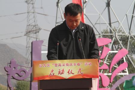 红谷:重阳登高采菊庆丰收。