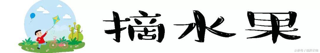 昆明是春游的好地方!露营,爬山...旅游指南这个微信就够了!
