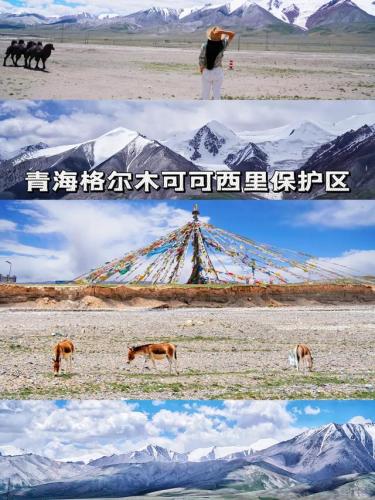 这个夏天非常凉爽;雪山高原,峡谷秘境,自驾格尔木6天5夜深度攻略