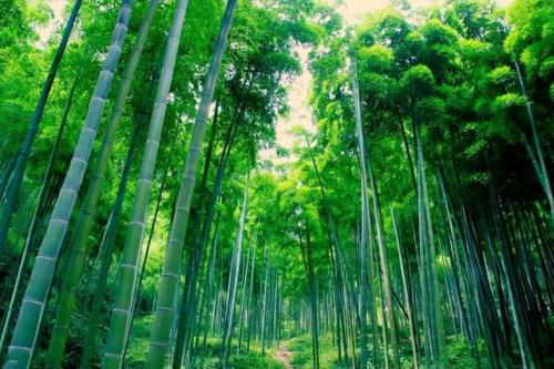 这是适合初夏的旅行地方列表。六七月份开车出发刚刚好。