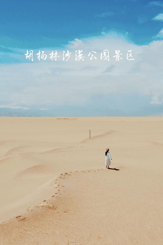 一座被严重遗忘的西北城市!有无数不为人知的美丽秘密。