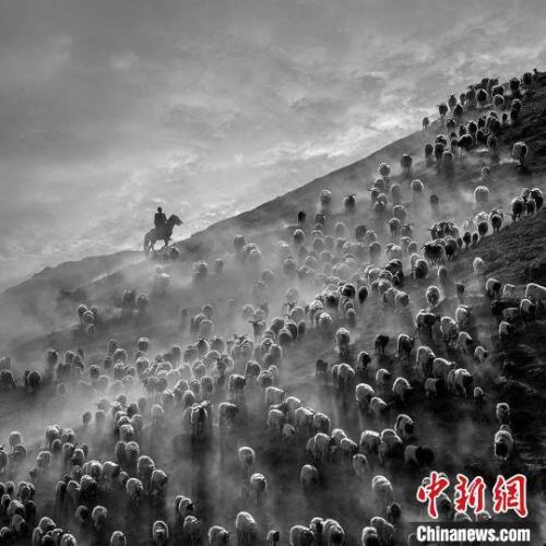 青海生态摄影作品“出圈”
