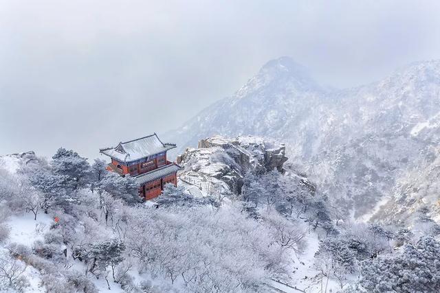 为什么要去东北赏“冰花”!山东这7大冰雪秘境,惊艳你整个冬天。