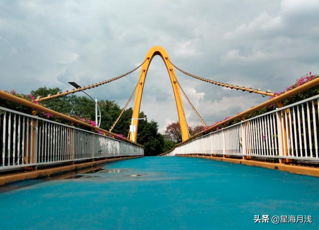 广州科学城玉树公园游记