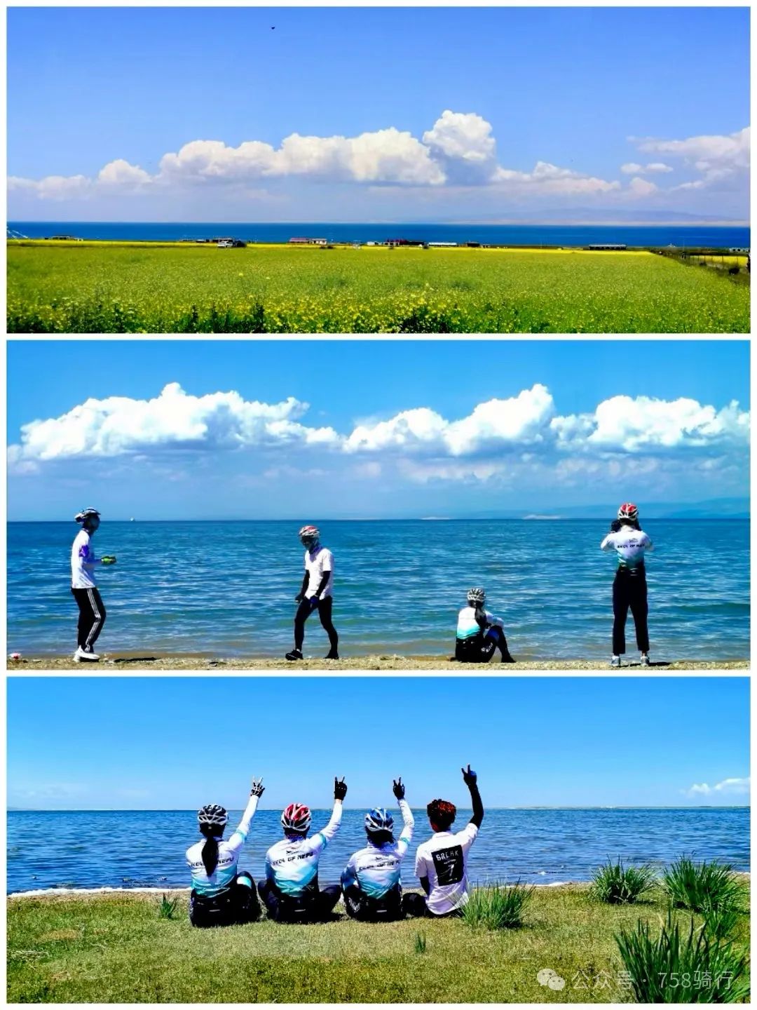 青海湖单车租赁 青海湖单车租赁